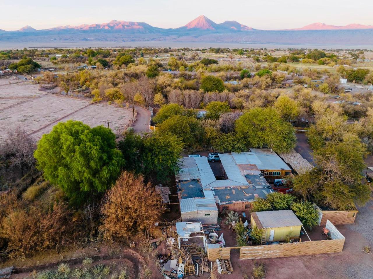 サン・ペドロ・デ・アタカマ Suri Atacama - Eco H&Tゲストハウス エクステリア 写真